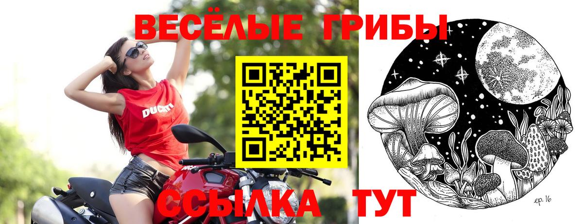 Оренбург  Галлюциногенные грибы Psilocybe  Вход с VPN 